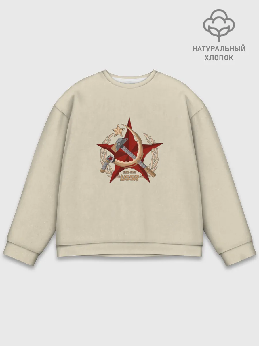 Мужской свитшот базовый / USSR 1922 - 1991