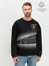 Мужской свитшот базовый / Lambo