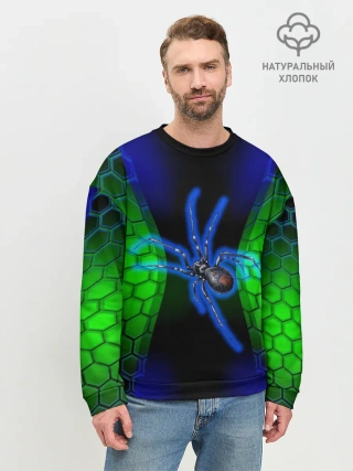 Мужской свитшот базовый / Паук на ночной охоте