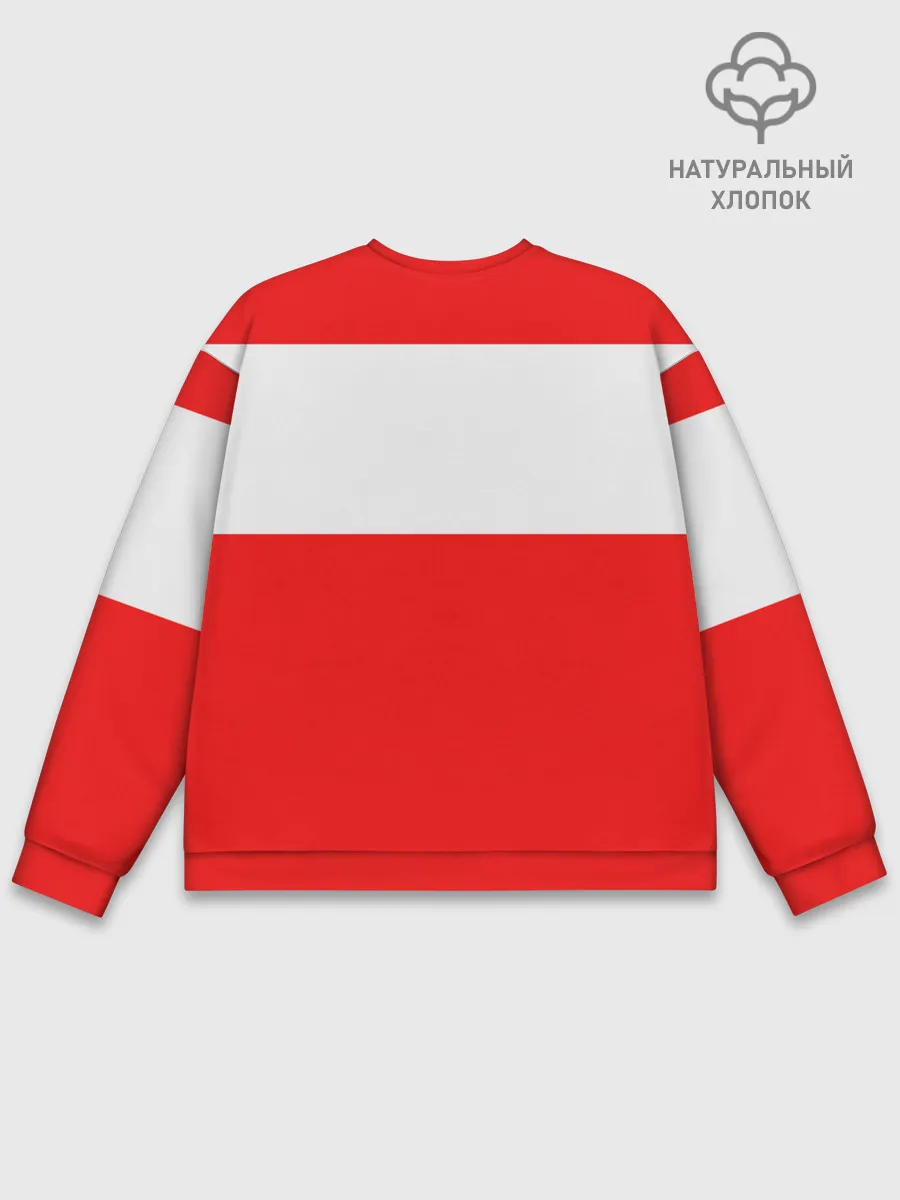 Мужской свитшот базовый / TNT