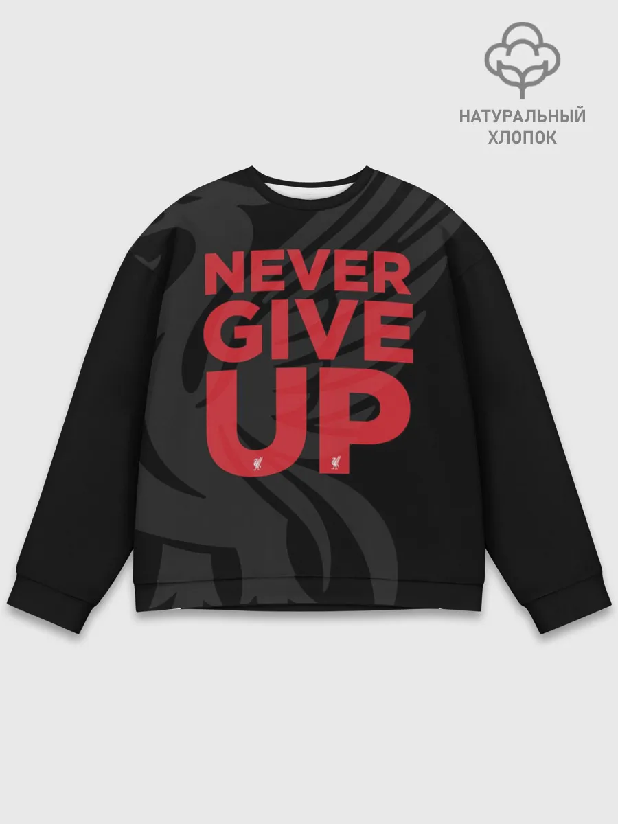 Мужской свитшот базовый / Never Give UP 4-0