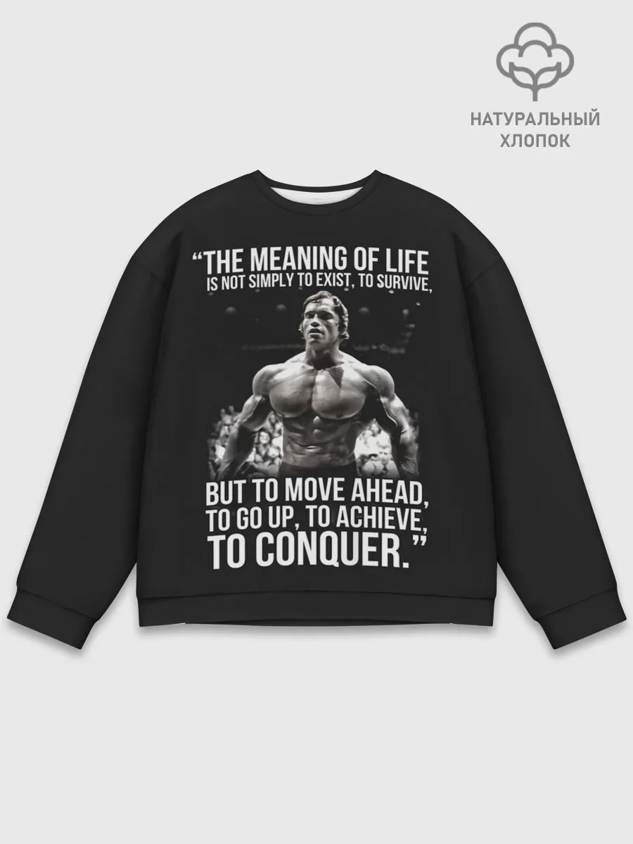 Мужской свитшот базовый / The Meaning Of Life