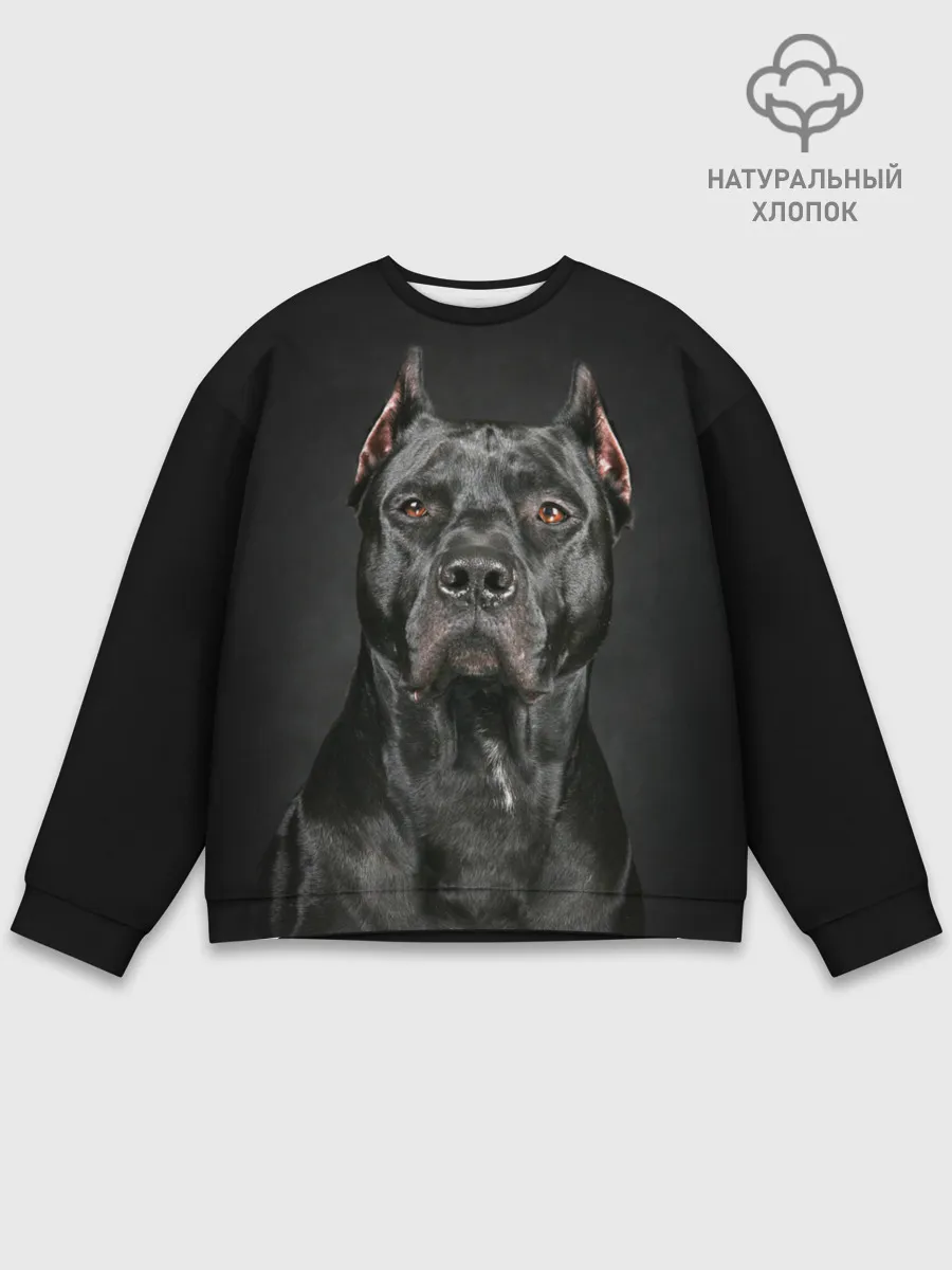 Мужской свитшот базовый / Питбуль
