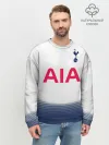 Мужской свитшот базовый / Dele Alli home 18-19