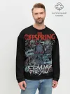 Мужской свитшот базовый / Offspring
