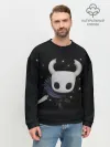 Мужской свитшот базовый / Hollow Knight