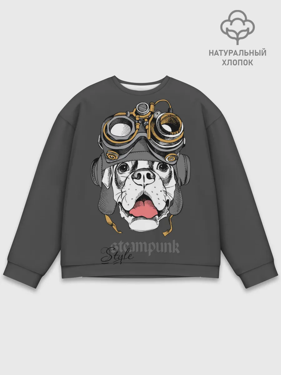 Мужской свитшот базовый / Steampunk Style