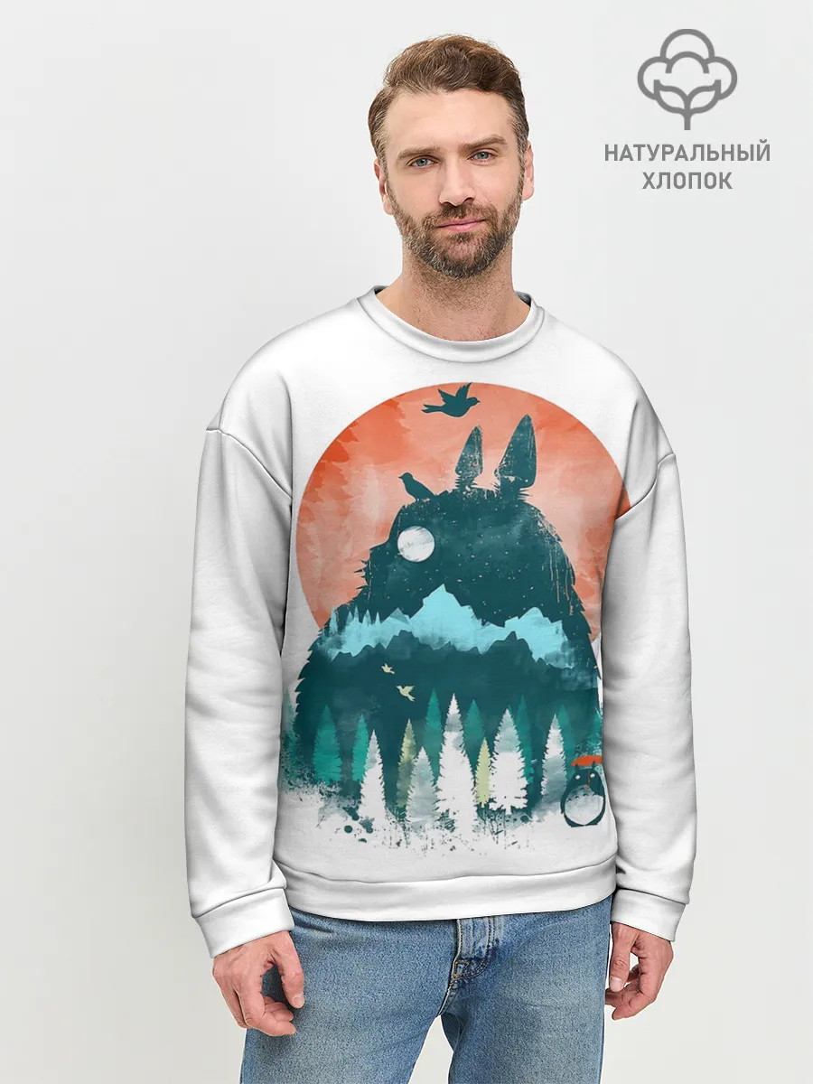 Мужской свитшот базовый / Силуэт Тоторо