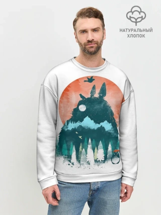 Мужской свитшот базовый / Силуэт Тоторо