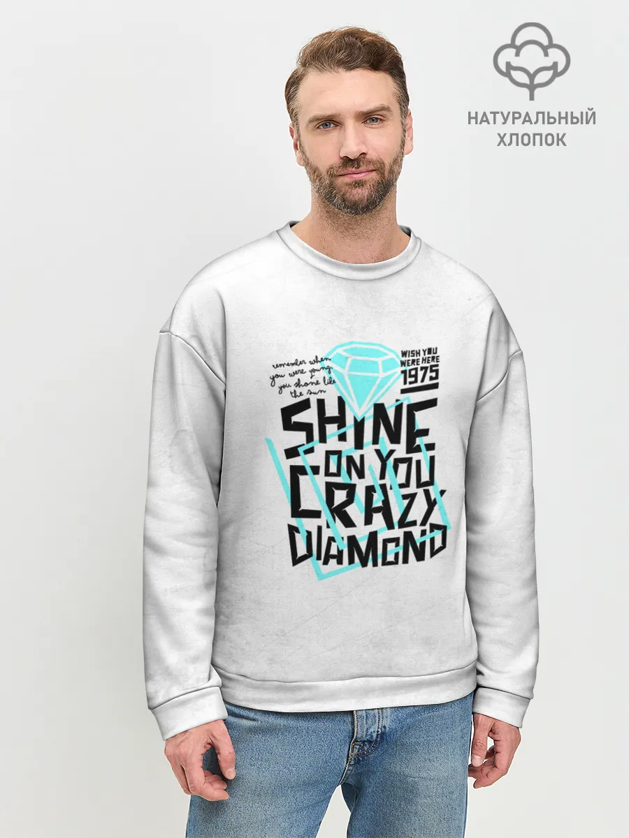 Мужской свитшот базовый / Pink Floyd