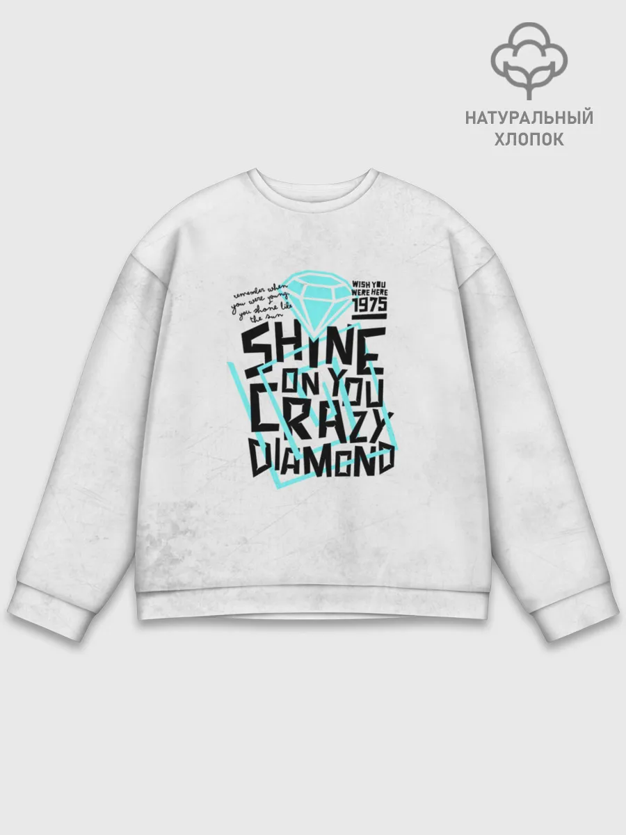 Мужской свитшот базовый / Pink Floyd