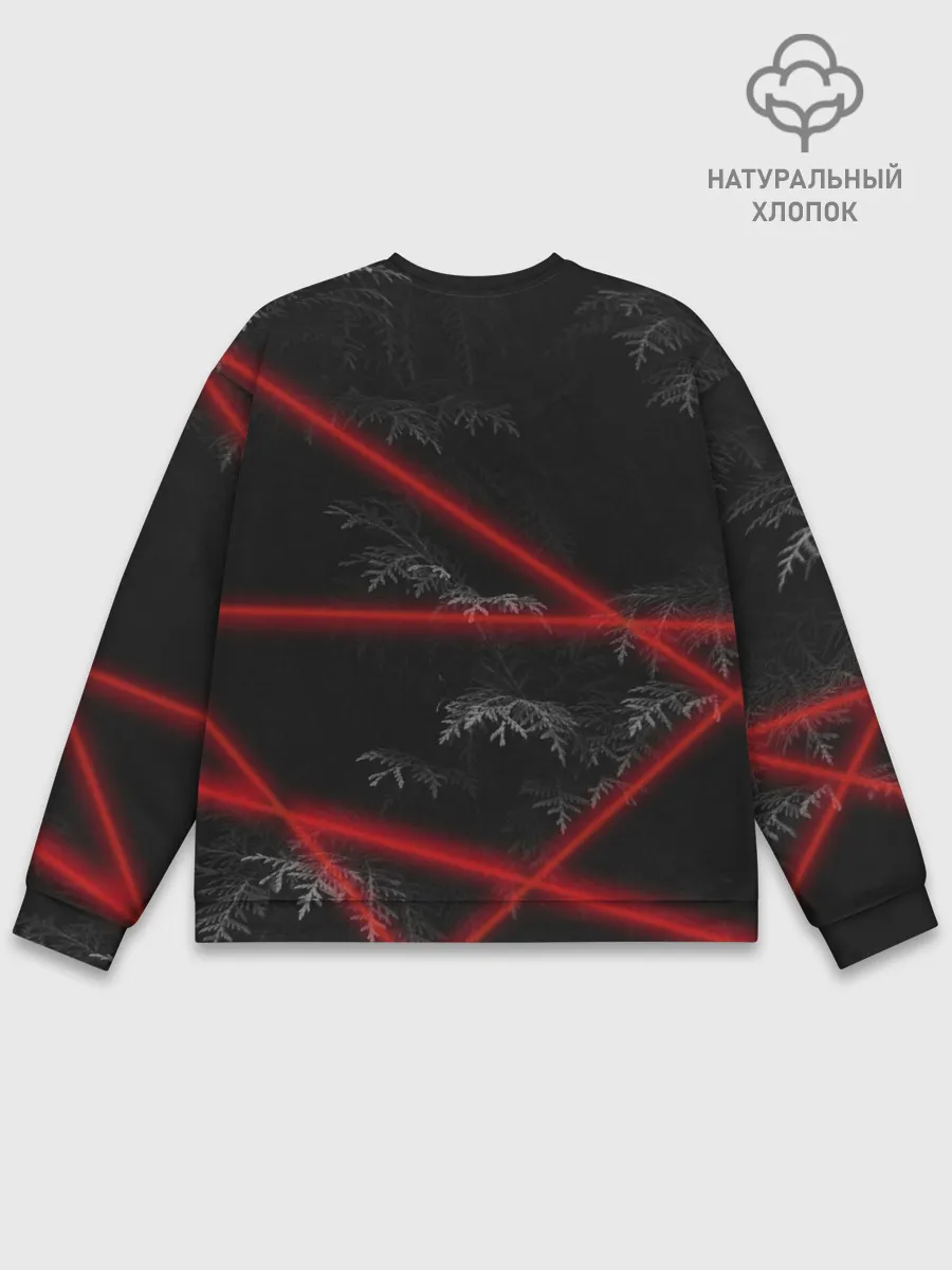 Мужской свитшот базовый / Rammstein