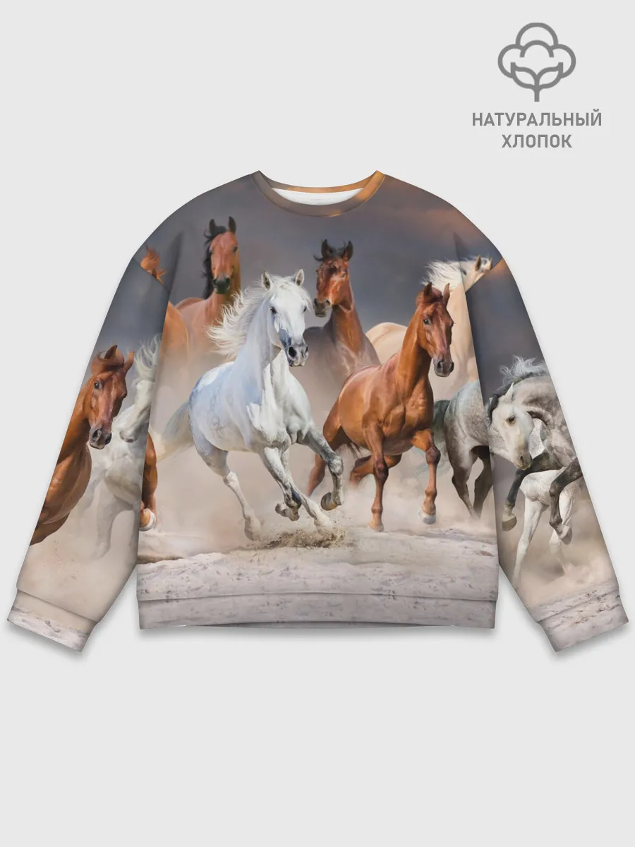 Мужской свитшот базовый / Табун