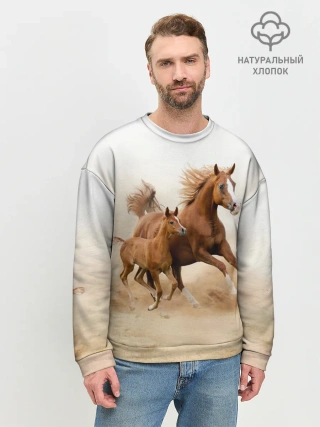 Мужской свитшот базовый / Лошадь с жеребенком