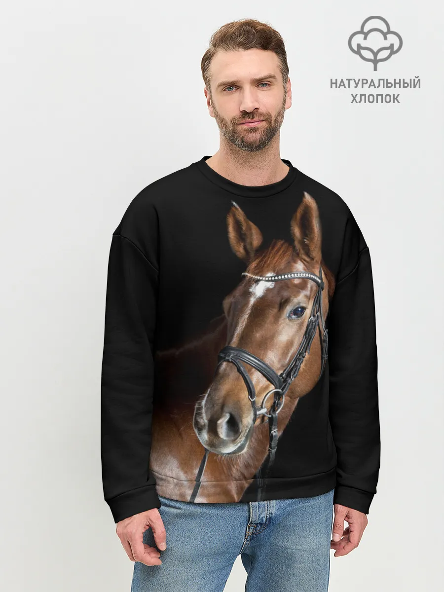 Мужской свитшот базовый / Гнедая лошадь