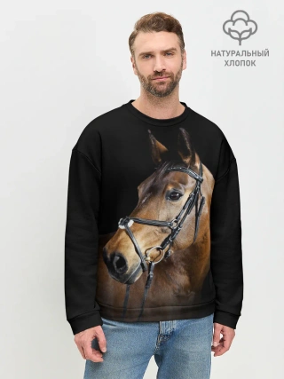 Мужской свитшот базовый / Гнедая лошадь