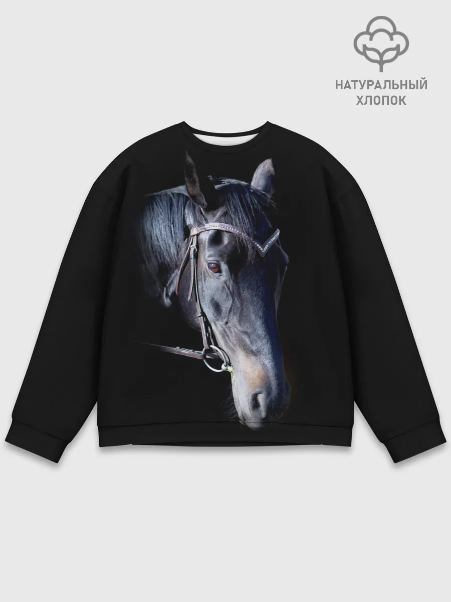 Мужской свитшот базовый / Конь вороной