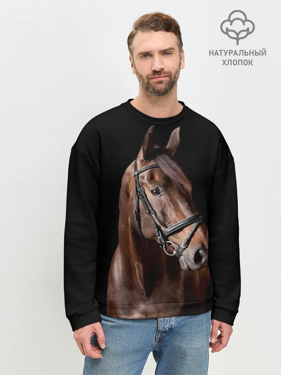 Мужской свитшот базовый / Гнедая лошадь
