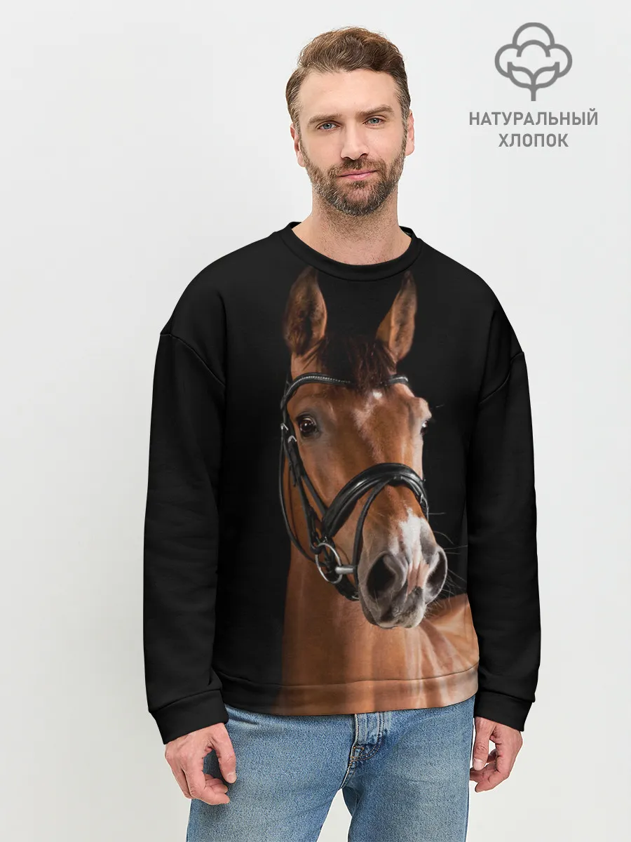 Мужской свитшот базовый / Гнедая лошадь