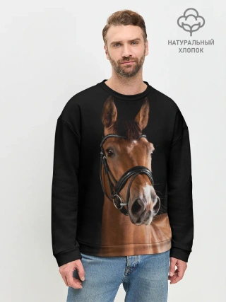 Мужской свитшот базовый / Гнедая лошадь