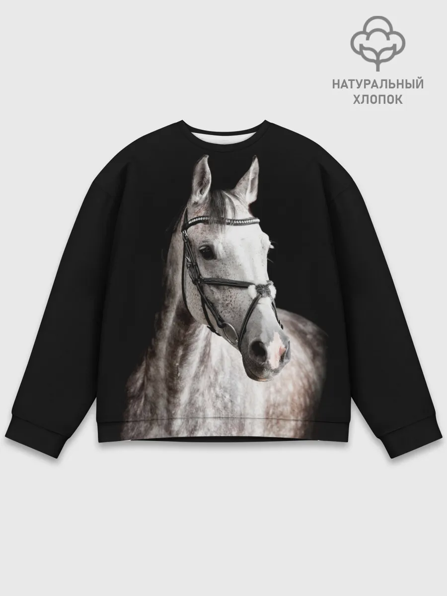 Мужской свитшот базовый / Серный в яблоках конь