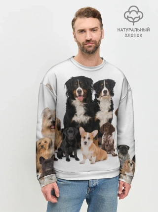 Мужской свитшот базовый / Породистые собаки