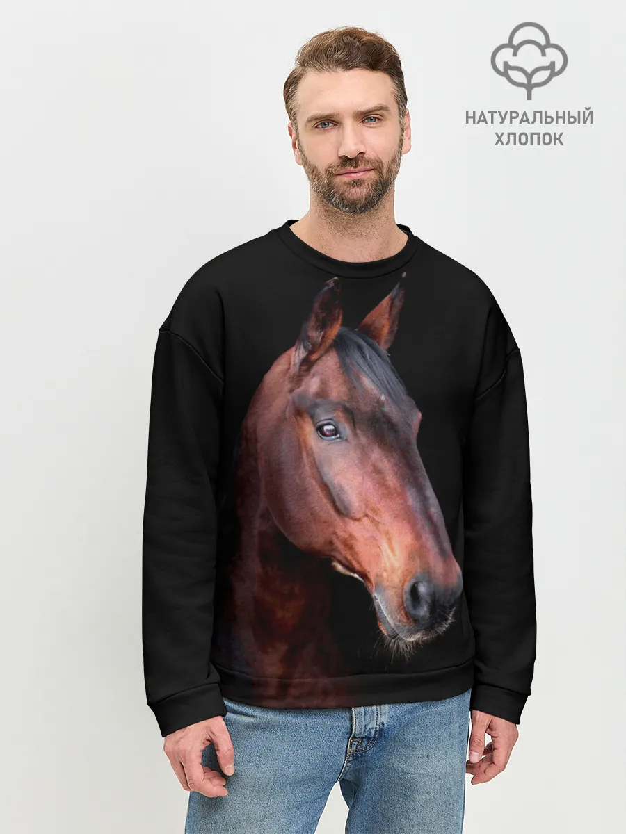 Мужской свитшот базовый / Гнедая лошадь