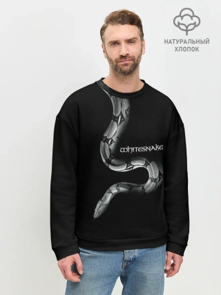 Мужской свитшот базовый / WHITESNAKE