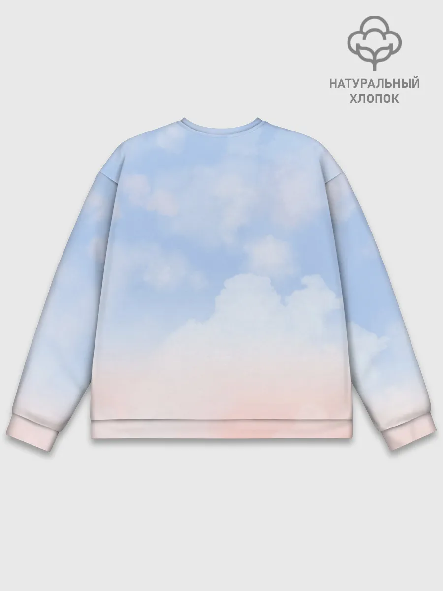 Мужской свитшот базовый / Свик /Самолеты/