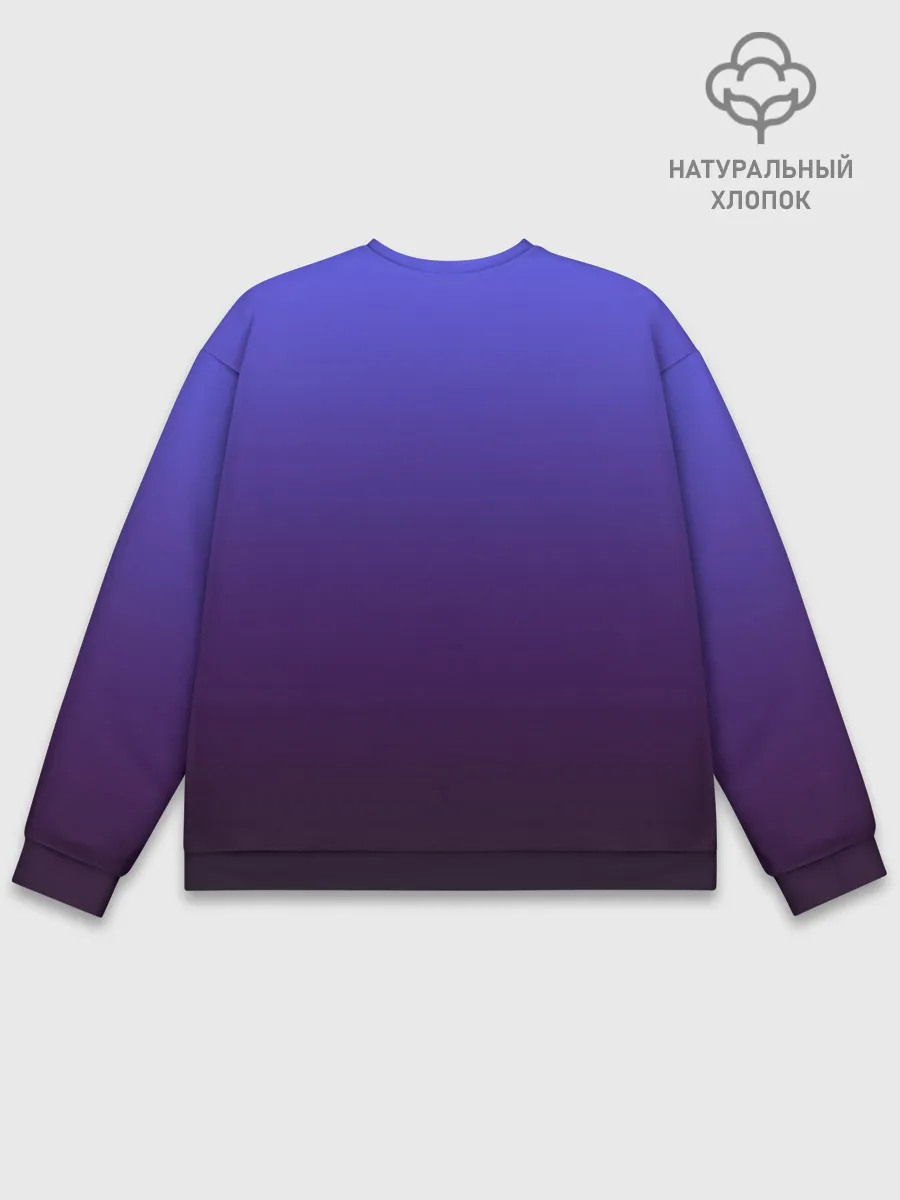 Мужской свитшот базовый / ALEKSEEV