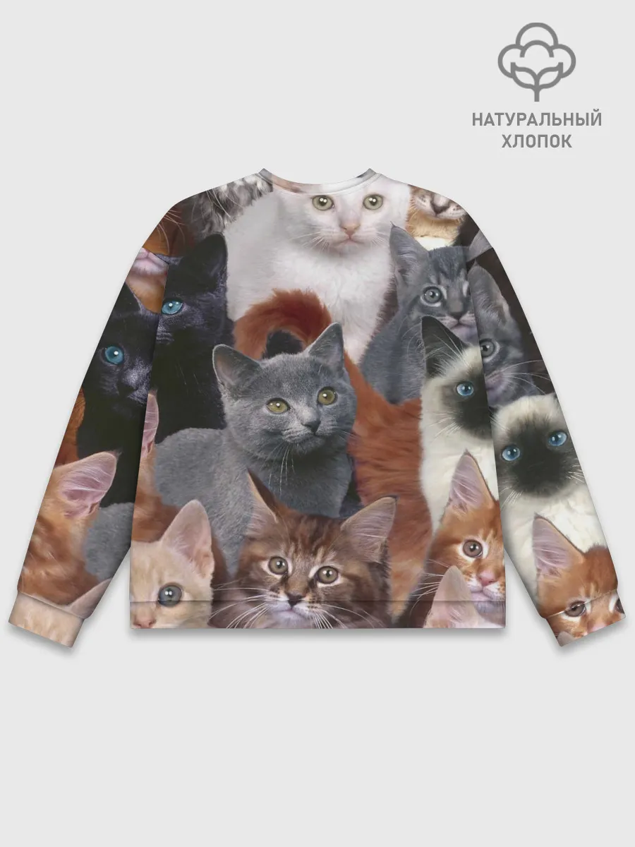 Мужской свитшот базовый / Много котов