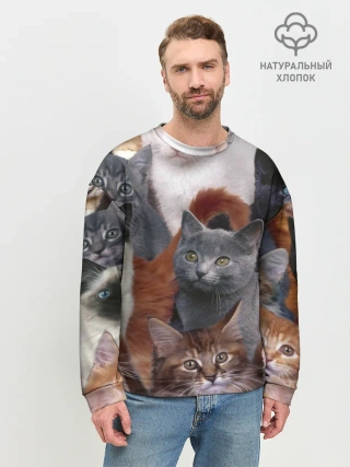 Мужской свитшот базовый / Много котов