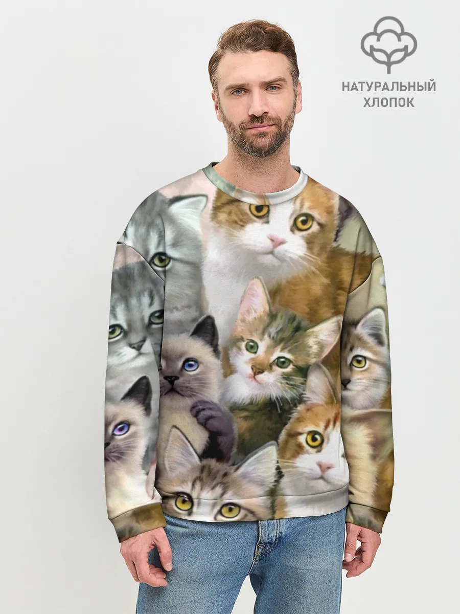 Мужской свитшот базовый / Котишики