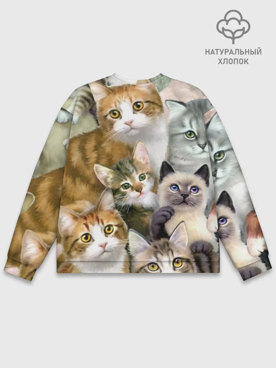 Мужской свитшот базовый / Котишики