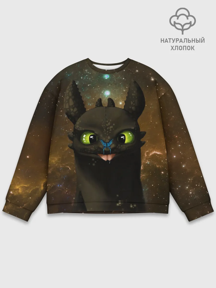 Мужской свитшот базовый / Night Fury