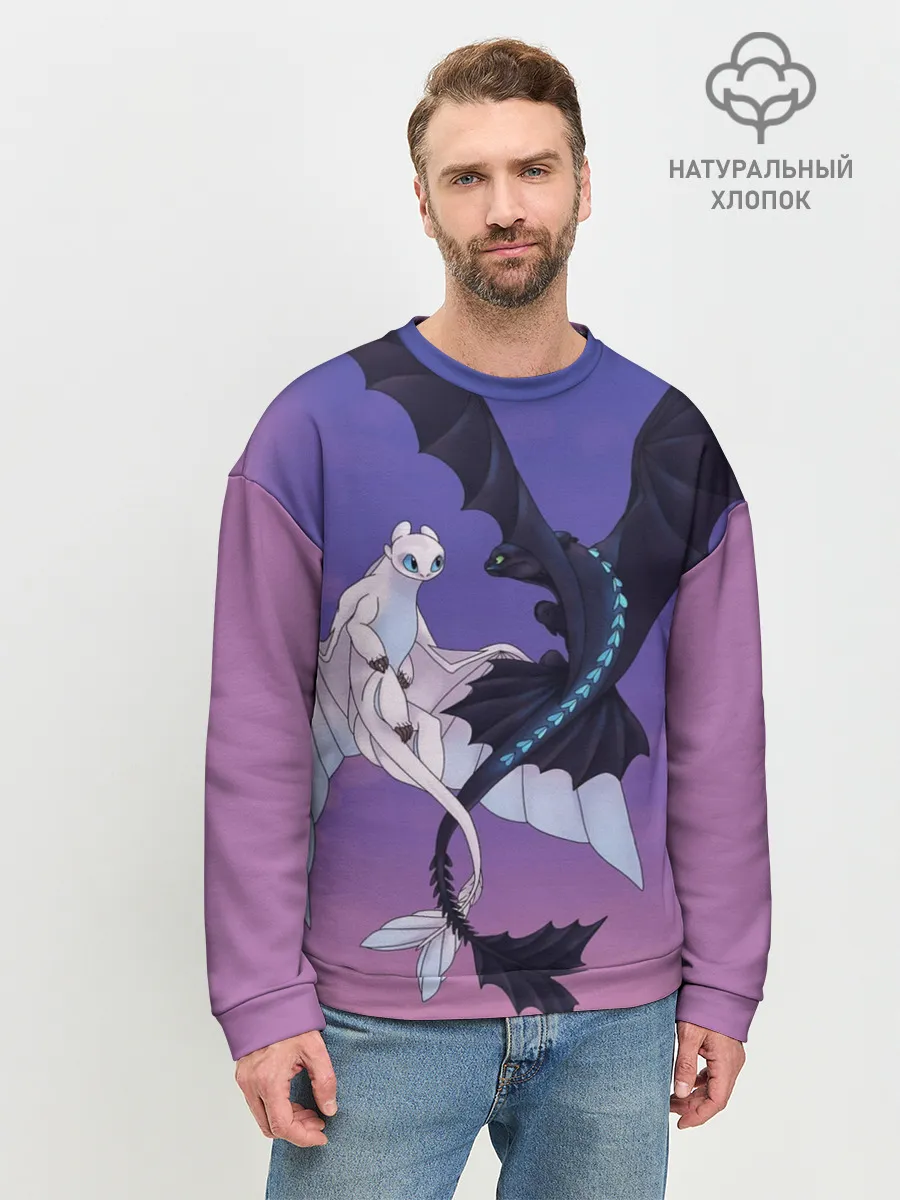 Мужской свитшот базовый / ночная фурия