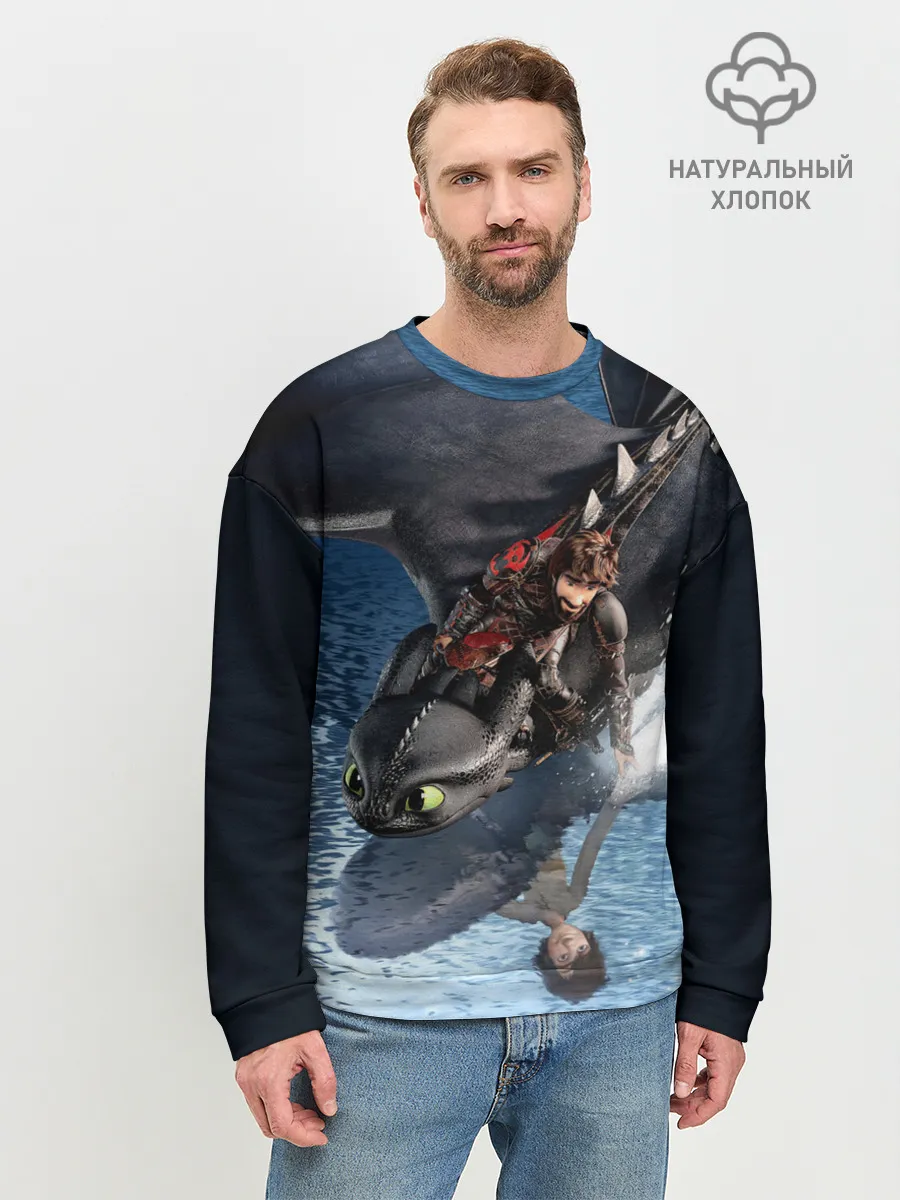 Мужской свитшот базовый / ночная фурия
