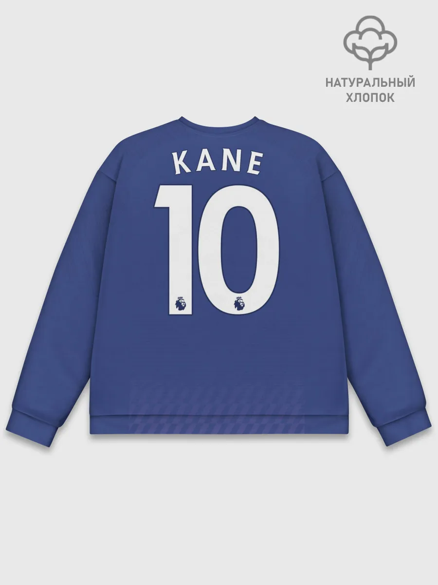 Мужской свитшот базовый / Kane away 19-20