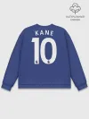 Мужской свитшот базовый / Kane away 19-20