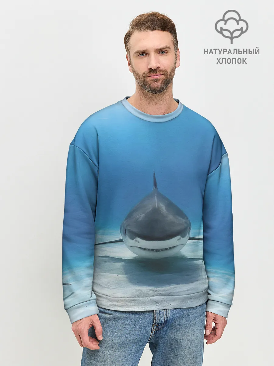 Мужской свитшот базовый / Анфас