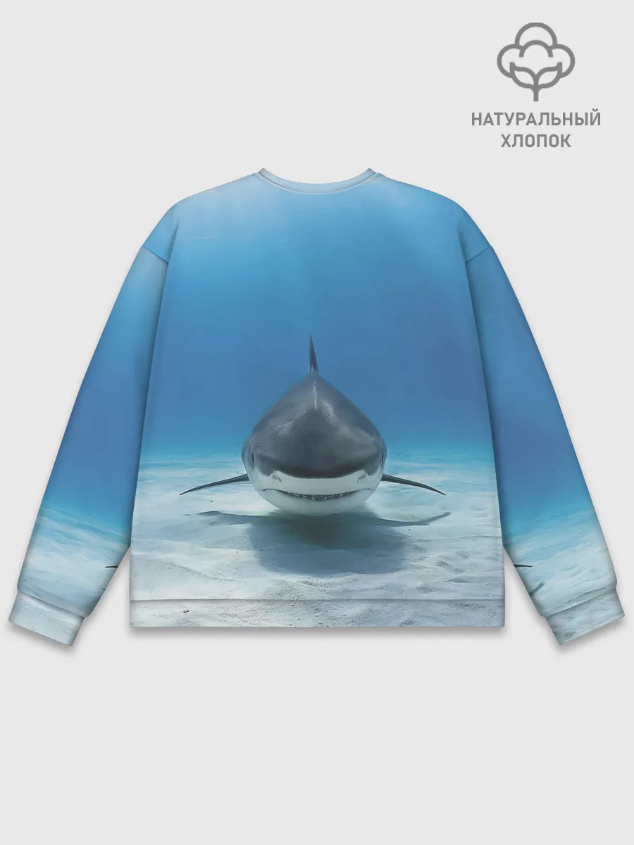 Мужской свитшот базовый / Анфас