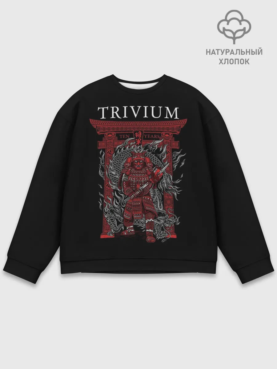 Мужской свитшот базовый / Trivium