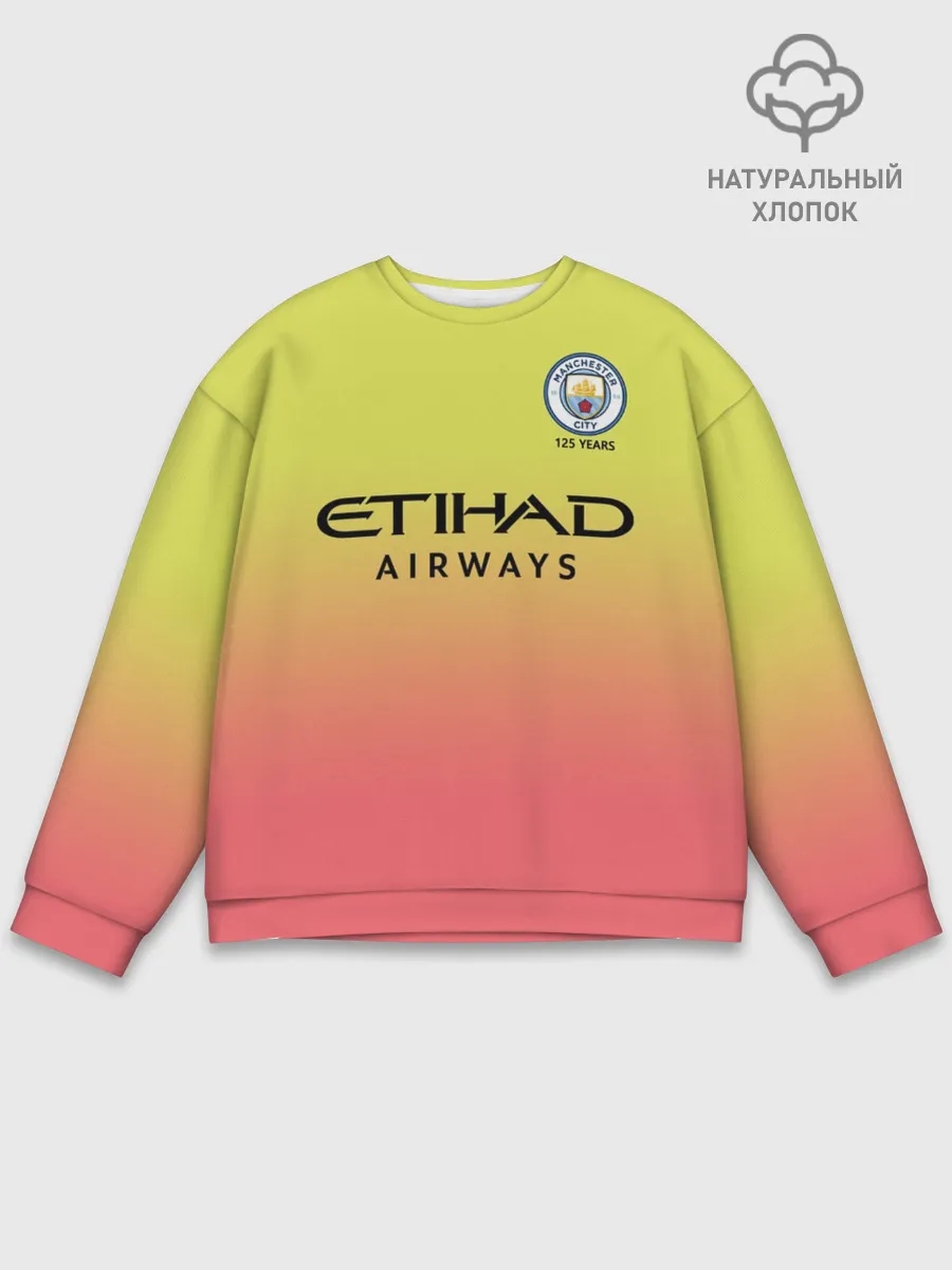 Мужской свитшот базовый / Zinchenko third 19-20