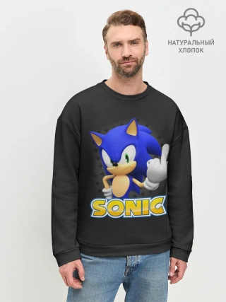 Мужской свитшот базовый / Sonic