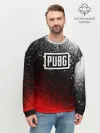 Мужской свитшот базовый / PUBG
