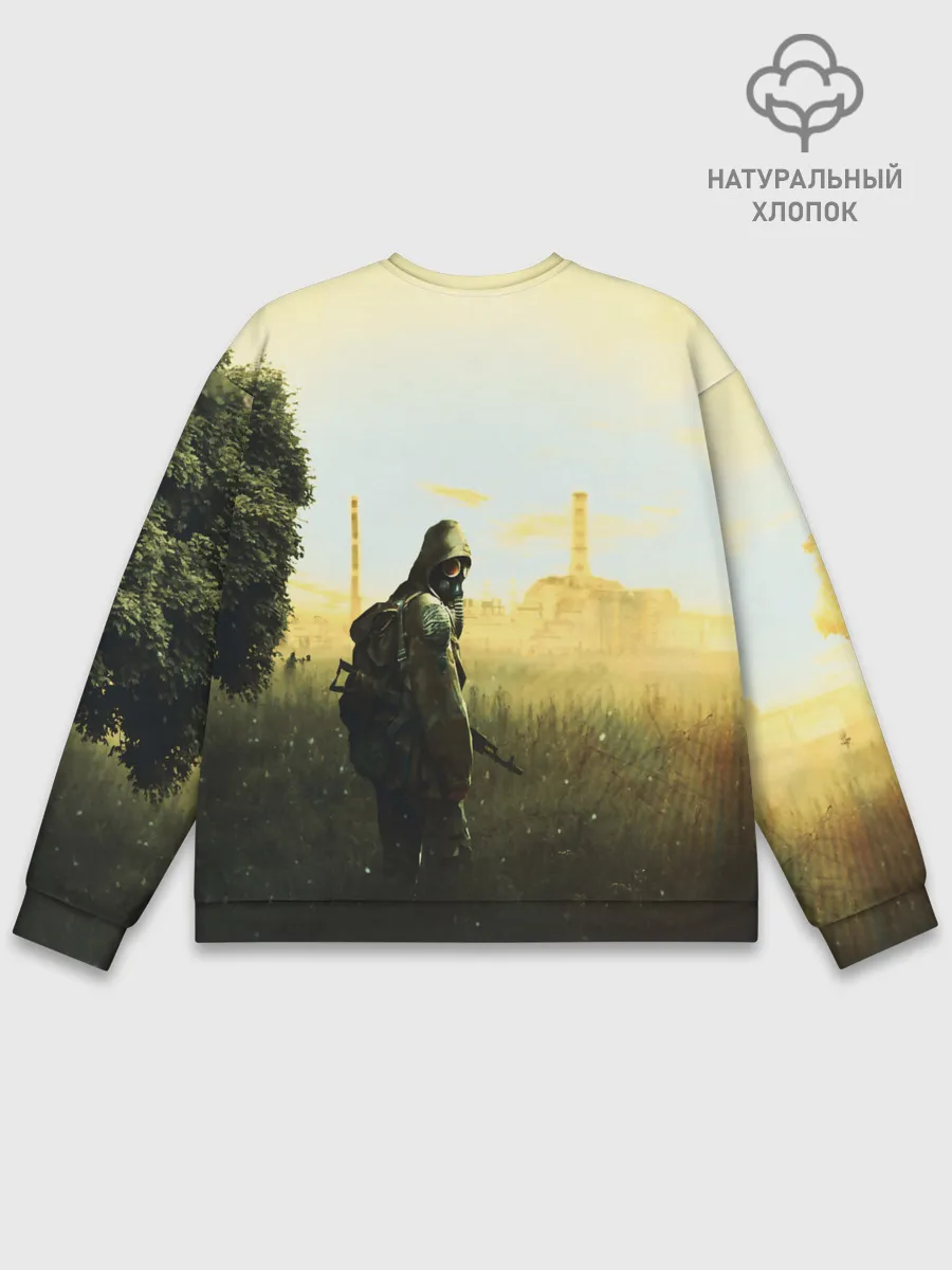 Мужской свитшот базовый / STALKER