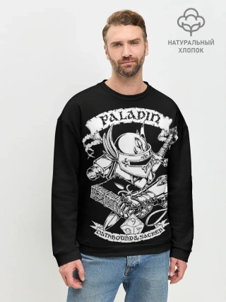 Мужской свитшот базовый / Paladin
