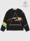 Мужской свитшот базовый / PINK FLOYD