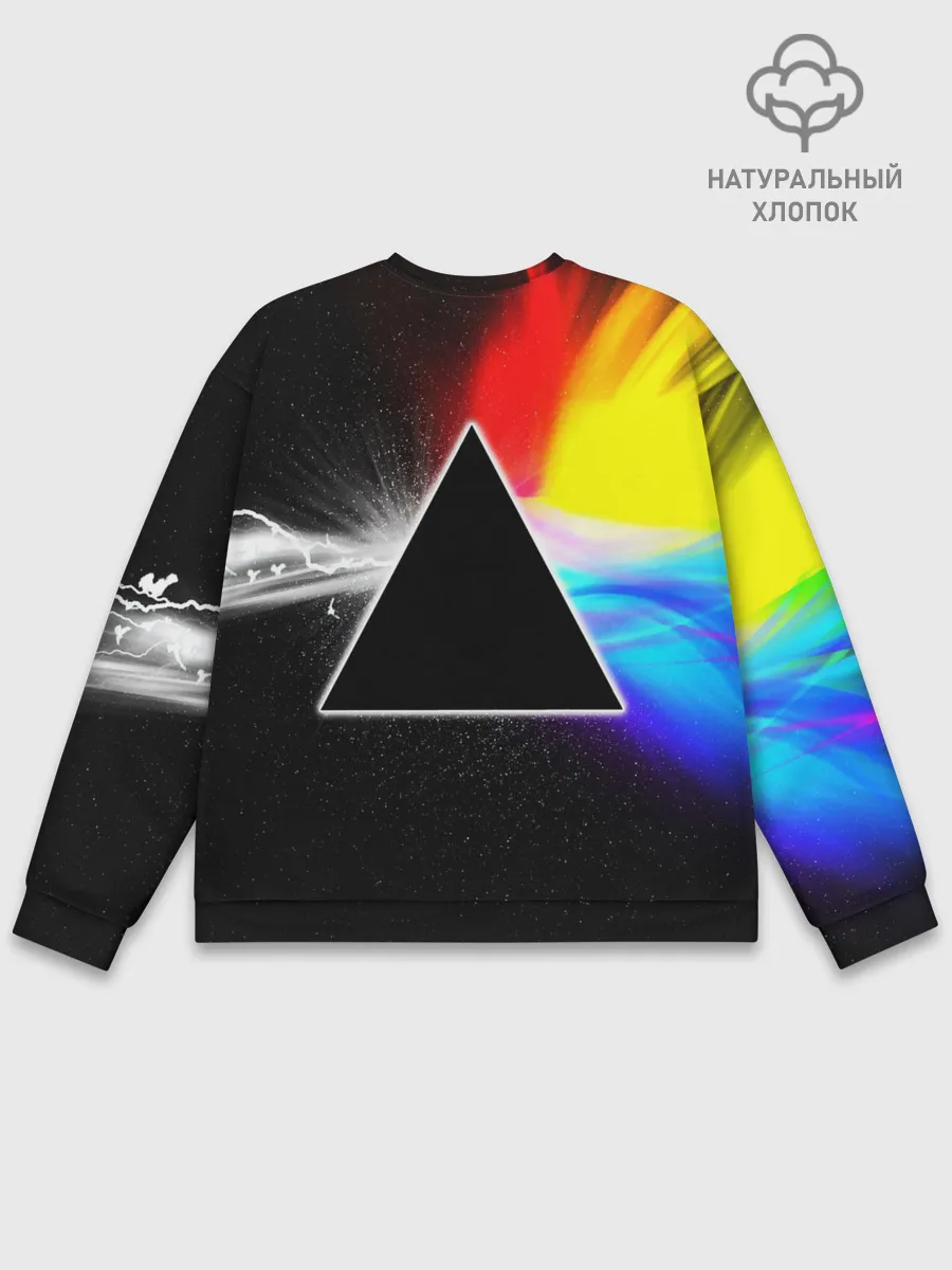 Мужской свитшот базовый / PINK FLOYD