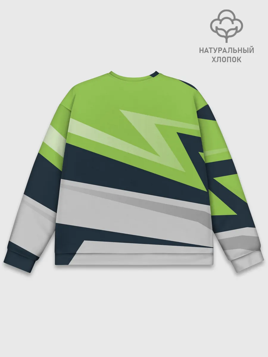 Мужской свитшот базовый / Need for Speed